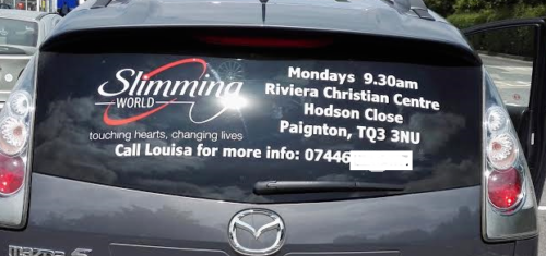 SW car window decal - Image 3