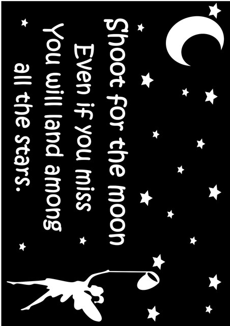 shoot for the moon