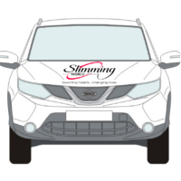 SW car decal
