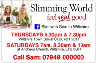 Slimming world magnets taco