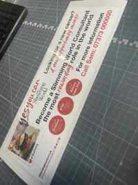 Slimmingworld promotional static clings