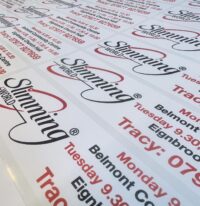 Slimming World Car clings