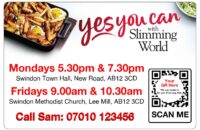 Slimming world magnets chips