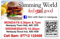 Slimming world magnets chicken