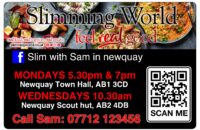 Slimming world magnets curry